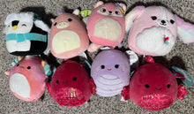 Load image into Gallery viewer, Squishmallow Personalized Valentine&#39;s Day Edition
